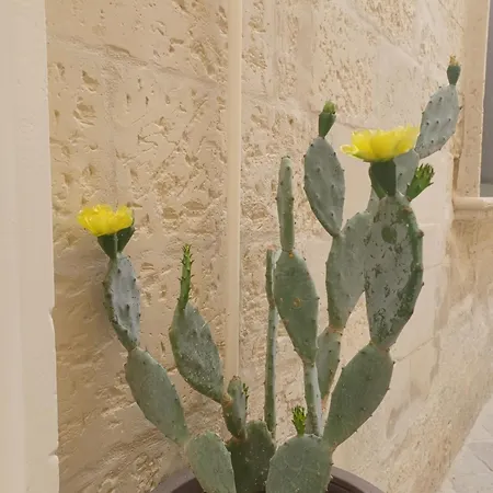 Apartment All'1 Di Rajno' Relaxing Lecce