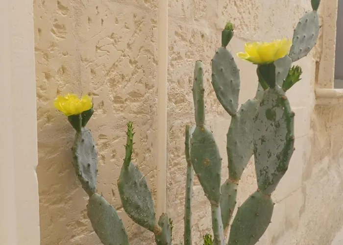 Appartamento All'1 Di Rajno' Relaxing Lecce